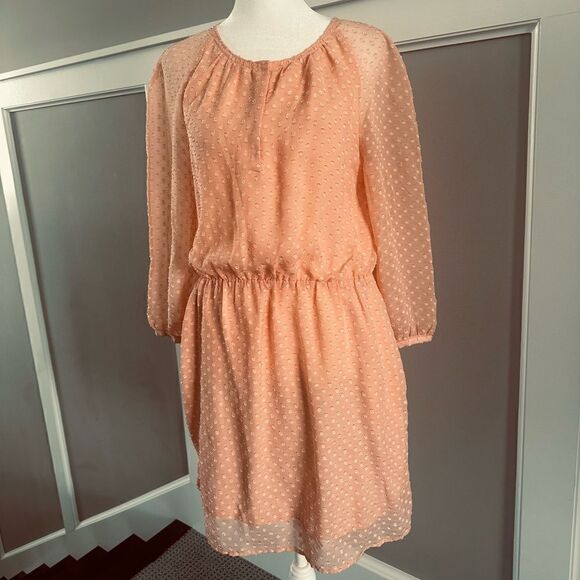 J. Crew peach colored, swiss dot dress with sheer sleeves. - Picture 1 of 6